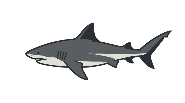 Gray shark swimming in water fast.