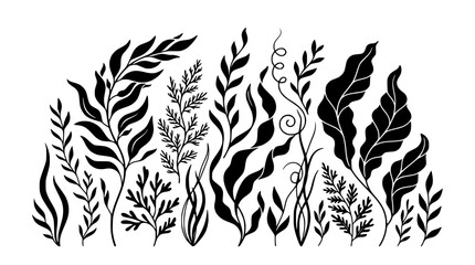 Black Silhouette Seaweed and Underwater Plants Collection, Vector Botanical Illustration © illustration