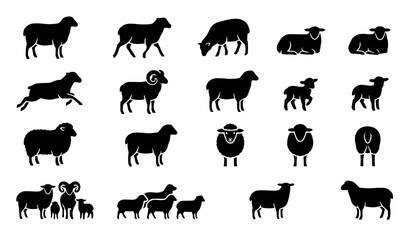 Fototapeta premium Sheep Silhouette Icon Set – Farm Animal and Livestock Vector Collection