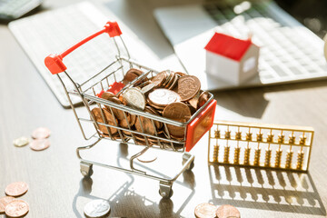 Shopping cart with coins and house model for real estate finance and mortgage planning © PhamHong