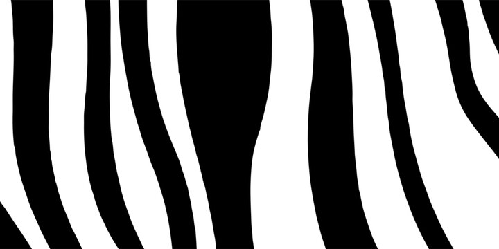 Black And White Zebra Pattern Background With Abstract Animal Stripes For Design And Fashion.vector eps10