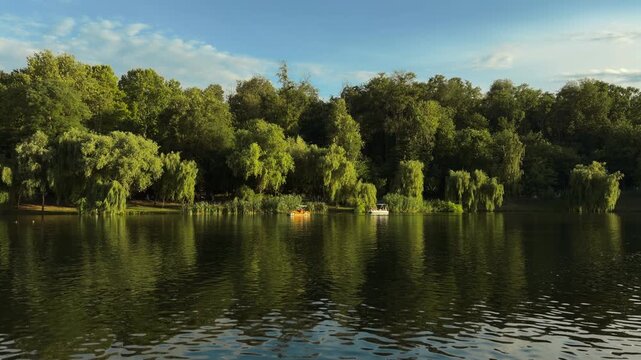 Calm willow-lined lake shoreline with two paddleboats resting beside grassy bank under warm sunlight and dense forest backdrop with soft reflections, with lake, water, tree, willow detail