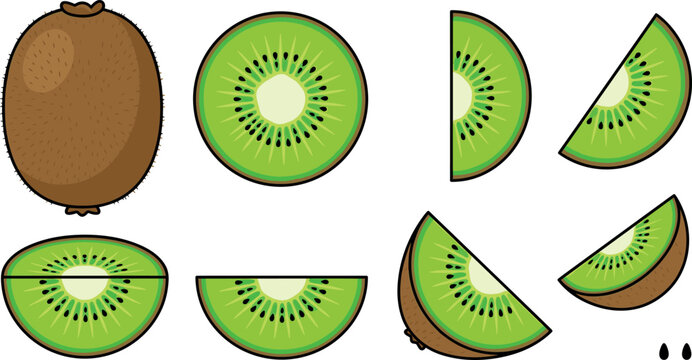 Organic green kiwifruit flat vector icon collection with juicy fruit slices and brown fuzzy peel elements for healthy food design layouts