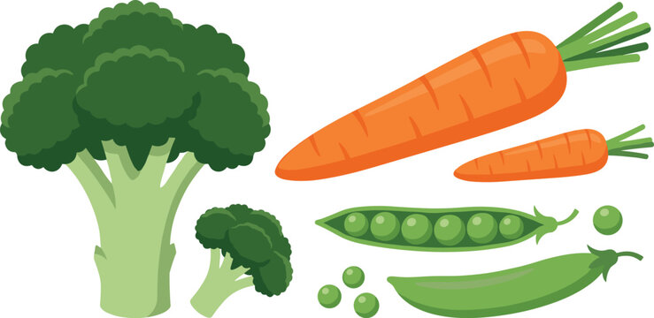 Healthy food flat vector icon collection with raw broccoli carrot and green pea elements for culinary recipe and nutrition design