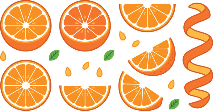 Citrus fruit vector element set with vibrant orange slices half segments green leaves and spiral zest for healthy juice packaging design