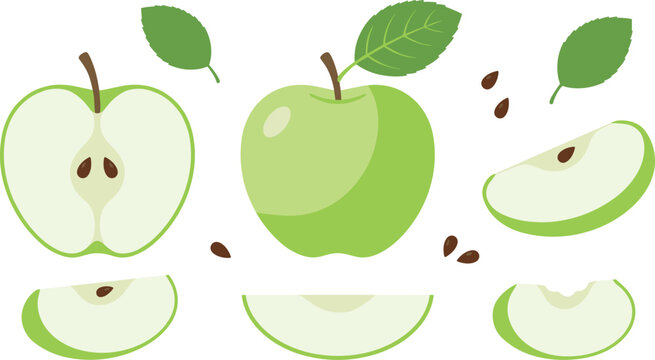 Fresh green apple elements collection featuring organic whole apple half slice leaf and seed icons for natural food packaging vector graphics