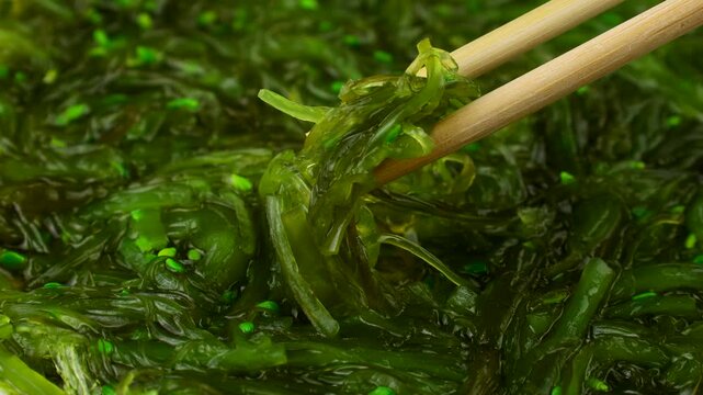 Asian green seaweed Chuka salad with sesame seeds taking with chopsticks close up