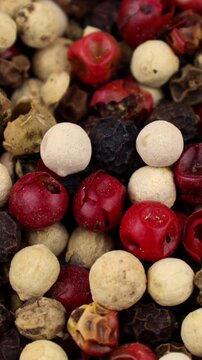 Black, pink, green and white peppercorns, pepper mix circle rotation close up, vertical video