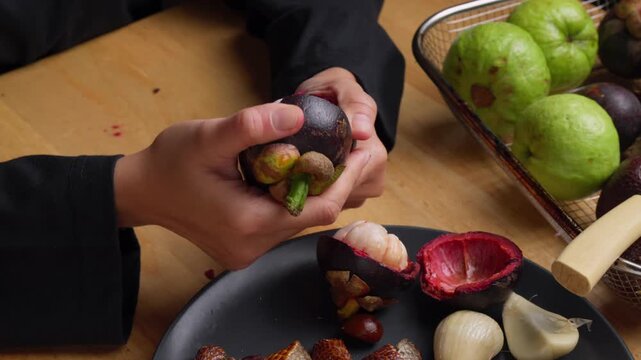 Hands squeezing open a Mangosteen, tropical and exotic fruit