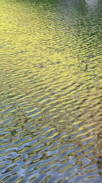 Vertical shot of vibrant green reflections and ripples on the clear water surface of Balea Lake along Transfagarasan road in Romania. Scenic glacier lake water texture in Fagaras mountains.