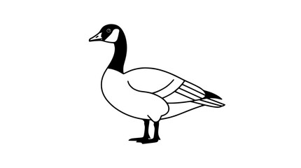Minimalist Line Art Illustration of a Canada Goose Standing on White Background © illustration