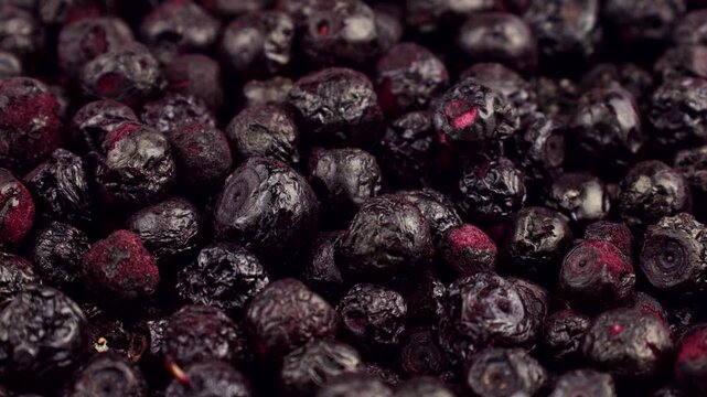 Whole freeze dried blueberry berries circle rotation close up