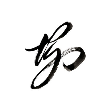 Handwritten Abstract Black Ink Calligraphy Brush Stroke Isolated on White Background for Zen Design