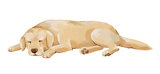 Watercolor sleeping dog isolated clipart. Hand painted domestic animal illustration for nursery decor, children's products, fabric, stationery, invitations, packaging and pet themed designs.