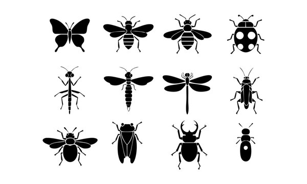Wildlife Insect Silhouette Collection.