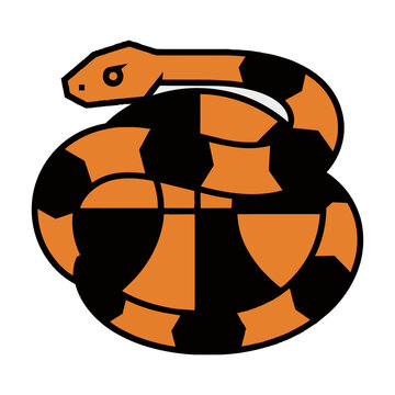 Sleek python snake coiled around a basketball with bold monoline black outlines and vibrant orange segments on a white background sports mascot concept