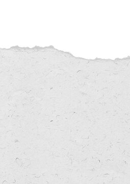 Torn white paper texture with fibers and transparent background