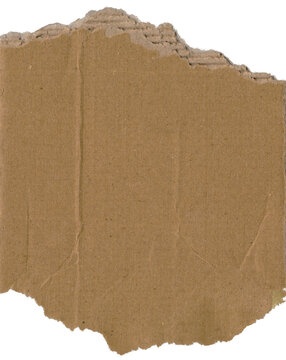 Roughly torn brown cardboard texture with visible corrugated layers and creases
