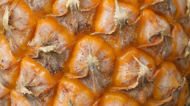Macro texture of ripe pineapple rind rotating in close up