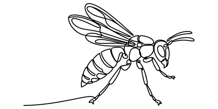 Continuous single line drawing of a honey bee insect with wings