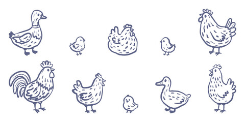 Hand drawn farm birds set with chicken, hen, rooster, duck and chicks doodle vector illustration © Anna B