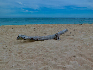 Driftwood is on a quiet tropical beach beneath a wide ocean horizon. Minimalist coastal scenery creates a calming backdrop perfect for travel, nature and desktop wallpaper themes. © Houston