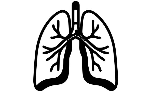 Detailed black and white illustration of human lungs, showcasing bronchial tubes and alveoli for medical and educational purposes.