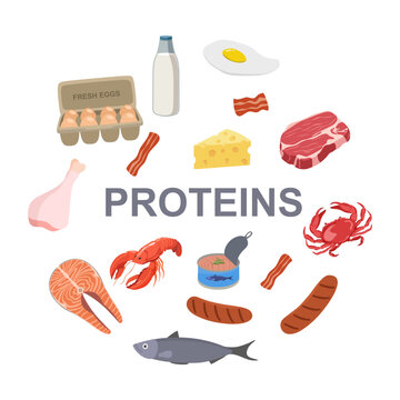 Different sources of protein, including meat, seafood, eggs, dairy, and plant based. Health and nutrition concepts. Trendy modern vector, hand drawns