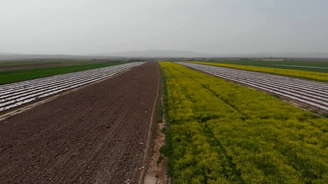 Aerial view of long straight dirt road cutting through vast green agricultural fields under partly cloudy sky in rural farmland landscape during daytime growth season with distant horizon.