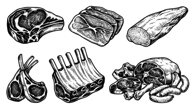 Detailed Hand Drawn Vintage Ink Sketch of Raw Meat Cut Set Featuring Beef Steaks Pork Chops Ribs Ribeye and Sausages for Butcher Shop Menu 