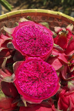 Fresh Red Dragon Fruit Halves with Vibrant Pink Flesh and Seeds in Woven Basket from Organic Orchard