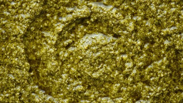 Close-up texture of fresh green pesto sauce top view