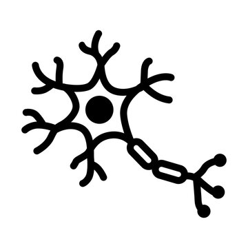 Nerve cell or neuron anatomy vector solid icon. Brain neurology, nervous system, and biology concept silhouette symbol.