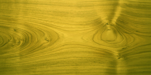 The abstract, close-up view of a striking wood grain pattern showcases swirling lines and natural textures, enhanced by a vibrant yellow-green hue, creating an organic and artistic surface. © RD Visuals