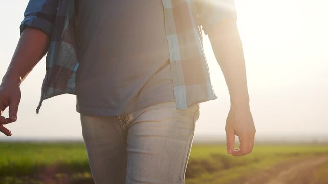 Man walking through field. Close up of farmer walking with his hands. Lifestyle farmer working in a field with a glare of sun. A man strolling across a meadow.