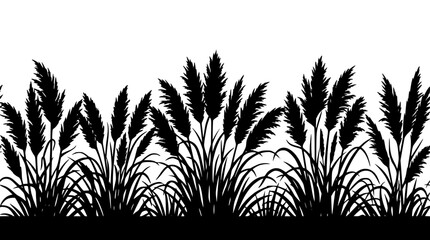 Obraz premium Black Silhouette of Pampas Grass and Reeds Border