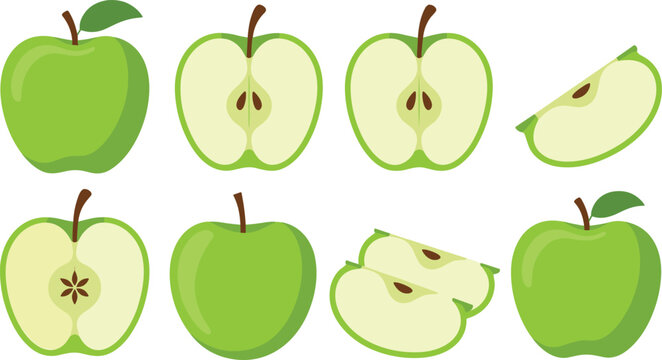 Green apple vector illustration set featuring whole fruits, cut halves with seeds, and fresh slices isolated on white background.