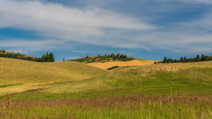 Fototapeta premium Summer Rhythms of the Palouse, Washington USA