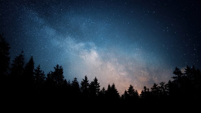 Night sky view filled with stars and silhouette of trees in a forest setting