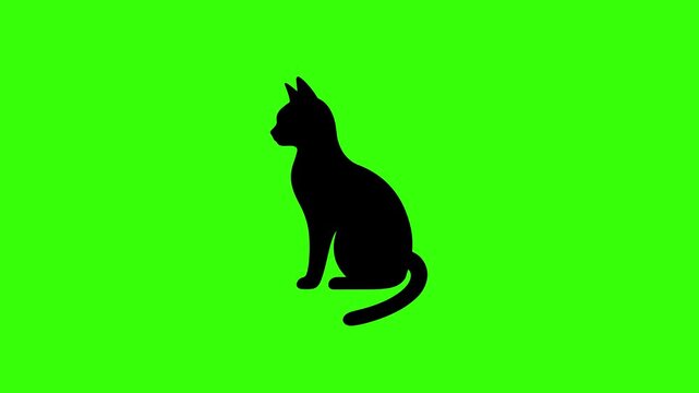 Black Cat Silhouette Animated Loop on Green Screen Background