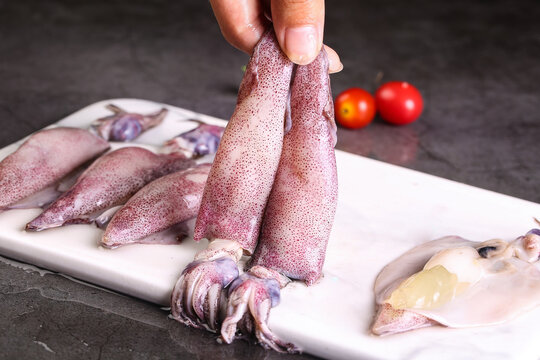 Fresh Raw Squid Seafood on Cutting Board with Hand Holding Tentacles for Cooking
