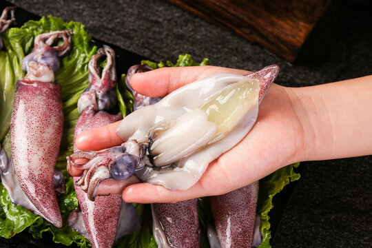 Fresh Raw Squid and Cuttlefish Seafood Display with Hand Holding Cleaned Squid Body on Lettuce Leaves