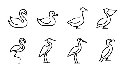 Obraz premium Water Bird Outline Icon Collection in Minimal Monoline Wildlife Line Art Style Vector Illustration Set