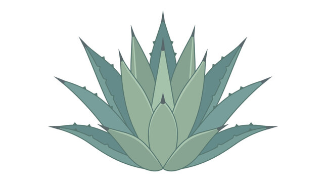 First Day of National Hispanic Heritage Month flat vector agave illustration