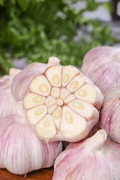 Purple Garlic Bulbs Cross Section Dried Skinned Heads Farmer Harvest Shandong Henan China