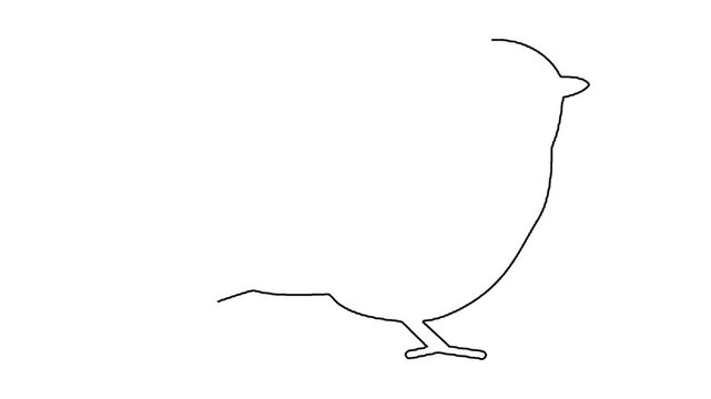 Minimal line art animation of small bird silhouette drawing on white.