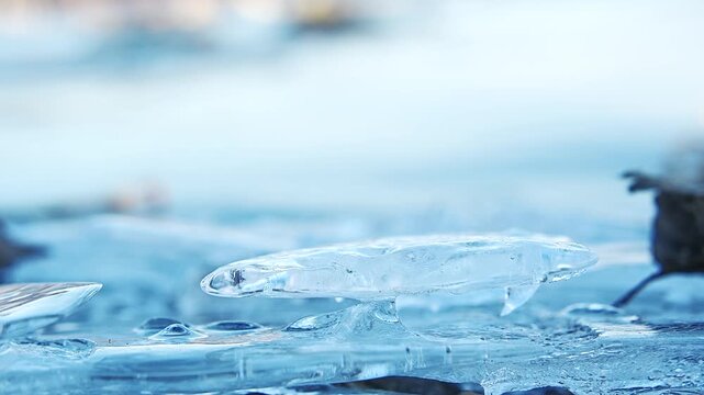 冬の湖岸にできた氷の造形