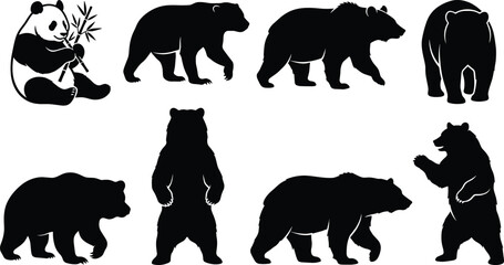 Bear species silhouette icons set featuring giant panda with bamboo grizzly polar and brown bears in various wild poses isolated on white background © Mehedi