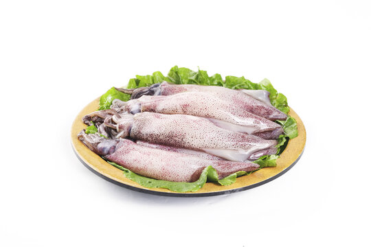 Fresh Whole Squid on Wooden Plate with Lettuce Garnish - Raw Seafood Ingredient