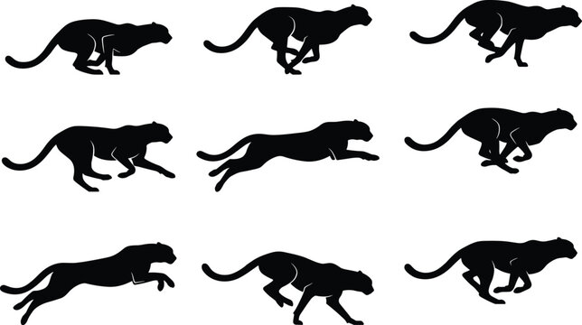 Black panther or cheetah running animation sequence silhouette vector sprite sheet set for motion graphics game design